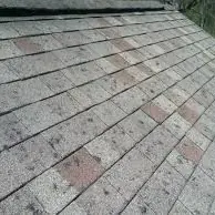 Close-up of weathered gray shingle roof with scattered reddish stains and moss at the edge