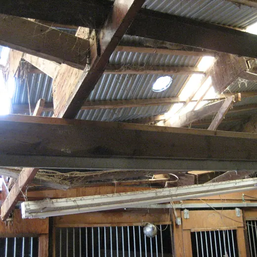 Collapsed corrugated metal roof inside a damaged building, with exposed beams and daylight showing through.