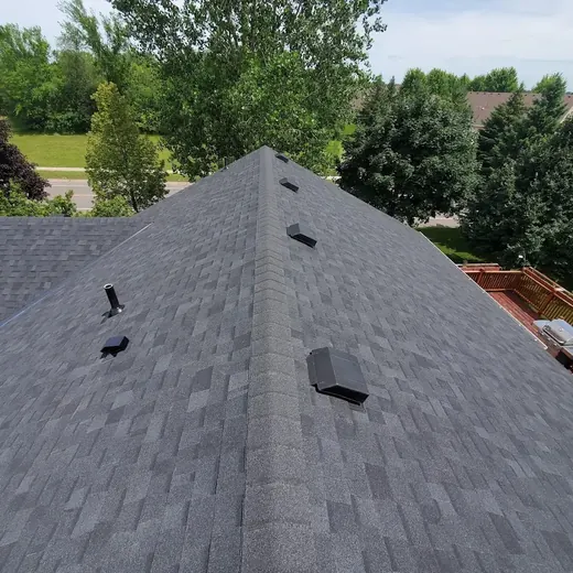 Dark gray shingled roof with vents, viewed from above against trees and neighboring houses