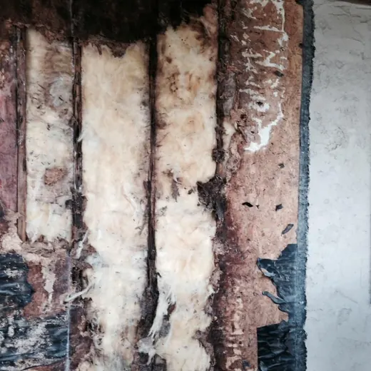 Water-damaged wall with exposed insulation, dark mold stains, and peeling plaster beside a white wall panel